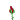 :rose: